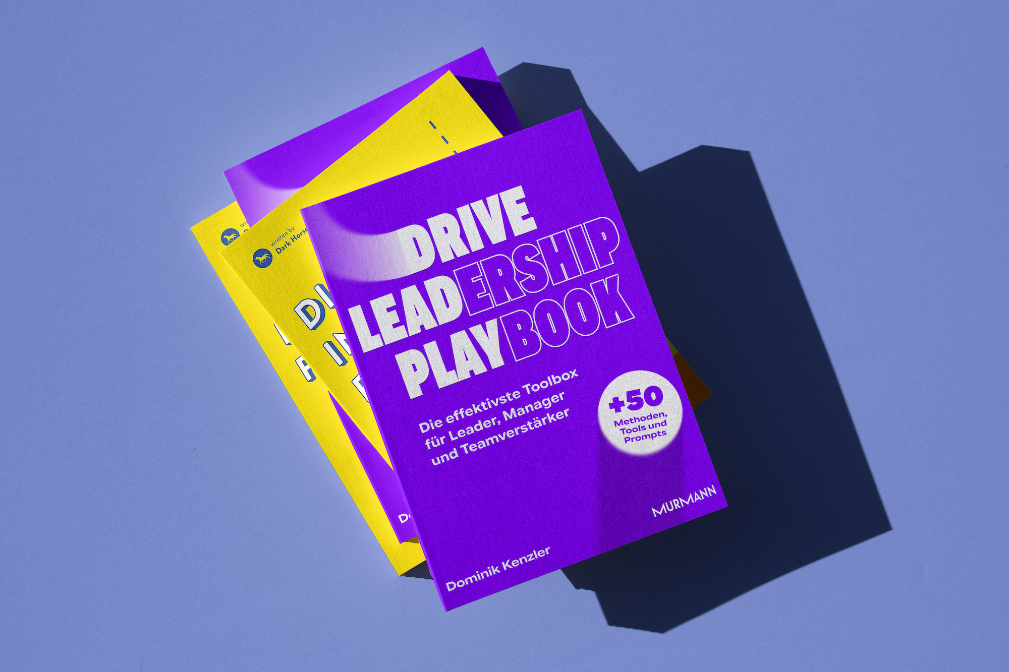 Drive Leadership Playbook